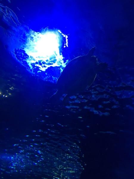 维修漏水消防管道 消除隐患居民放心